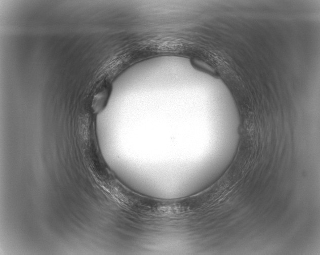 X0000051910744200507222108