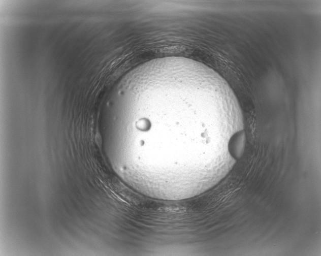 X0000051910745200507222108