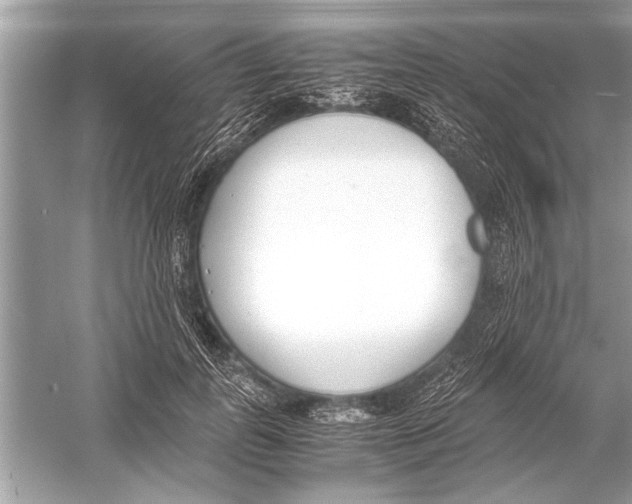 X0000051910747200507222108