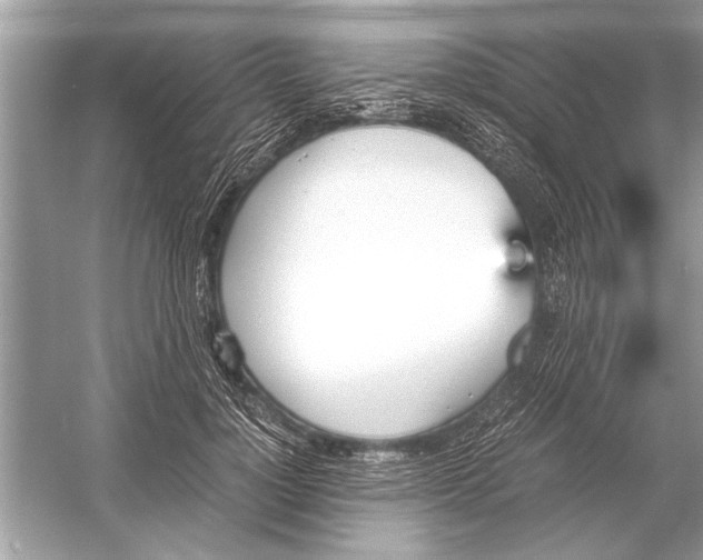 X0000051910748200507222108