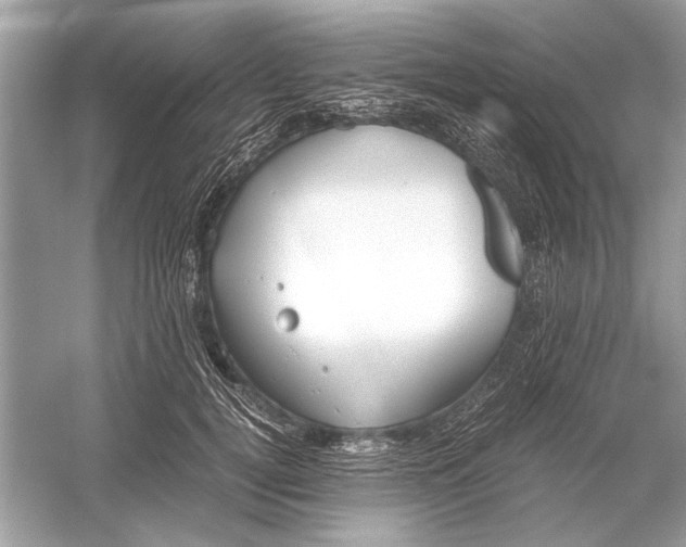 X0000051910752200507222108