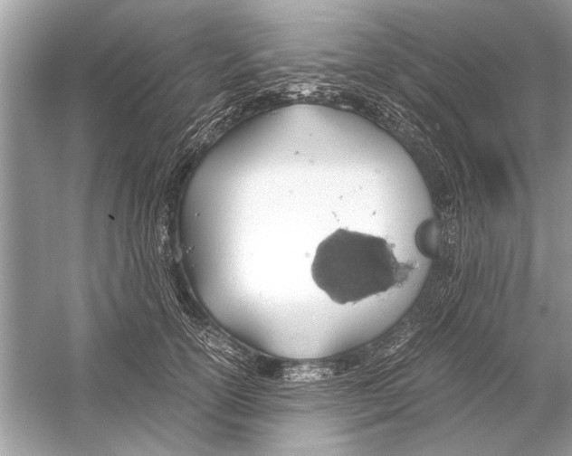 X0000051910754200507222108