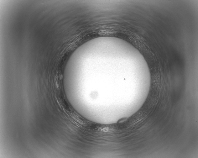 X0000051910755200507222108