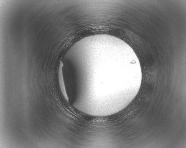 X0000051910756200507222108