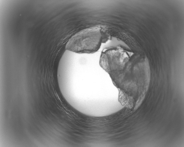 X0000051910757200507222108