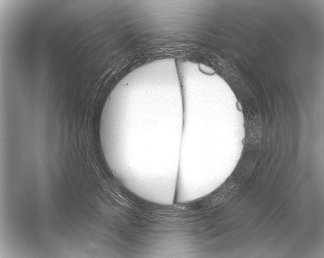 X0000051910758200507222108