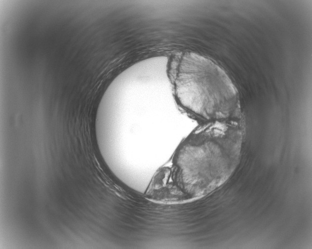 X0000051910761200507222108