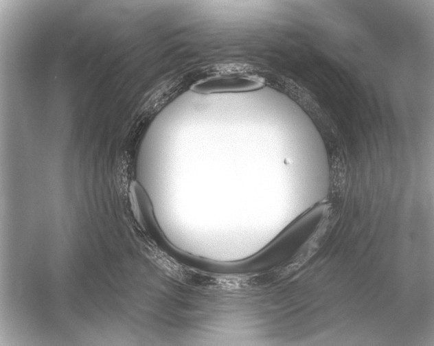 X0000051910762200507222108