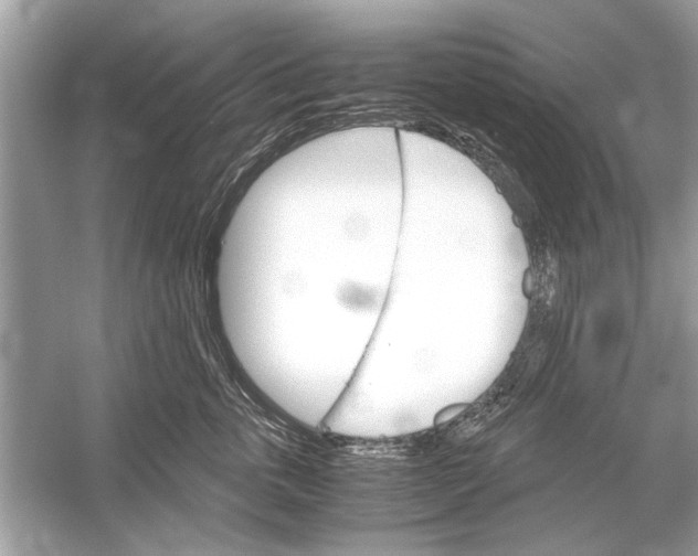 X0000051910763200507222108