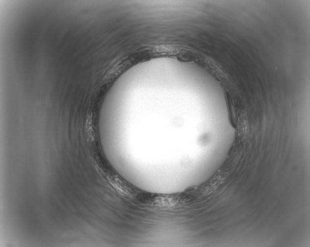 X0000051910764200507222108