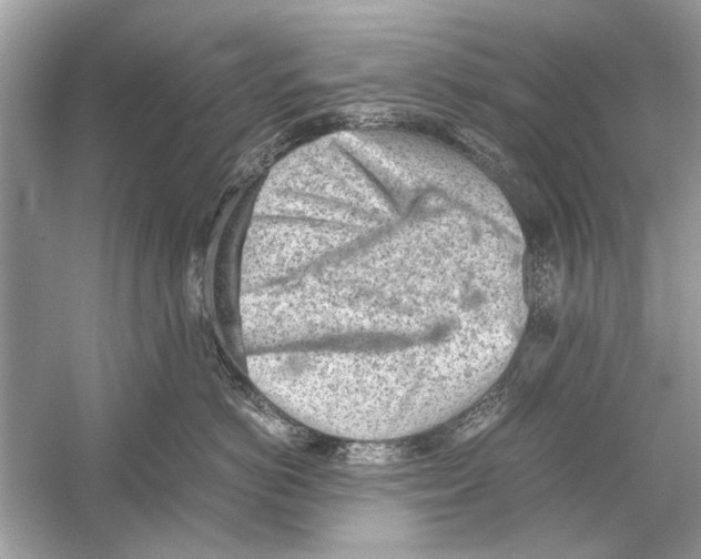 X0000051910766200507222108