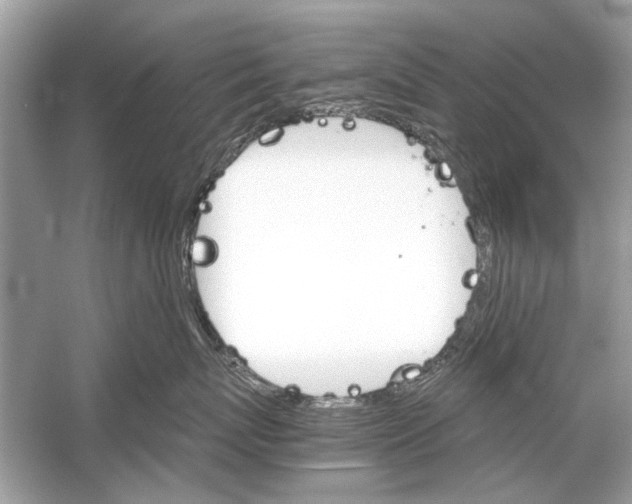 X0000051910767200507222108