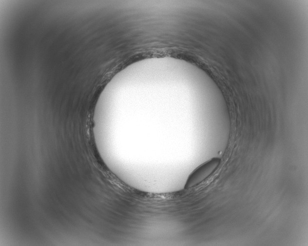 X0000051910768200507222108