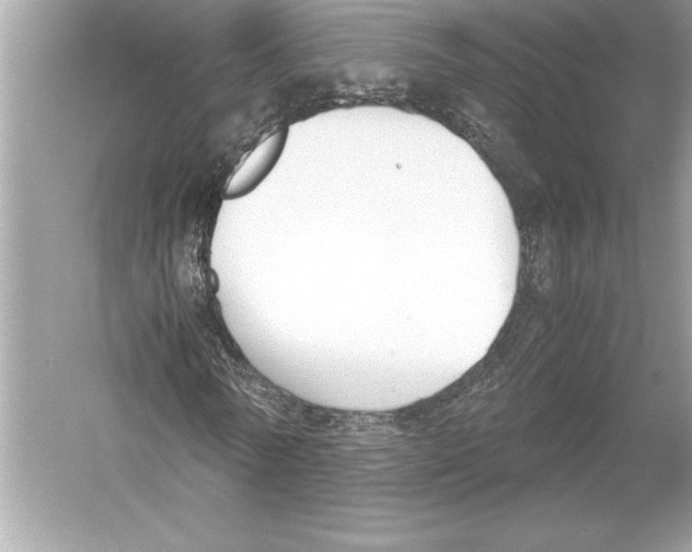 X0000051910770200507222107