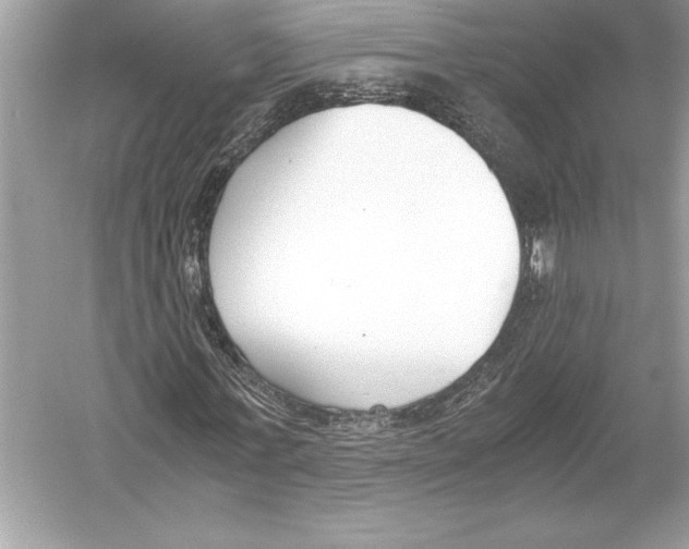 X0000051910771200507222107