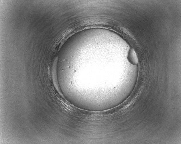 X0000051910777200507222107