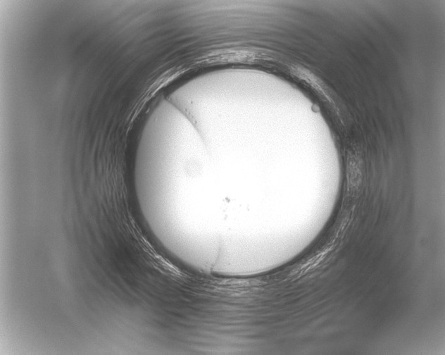 X0000051910778200507222107