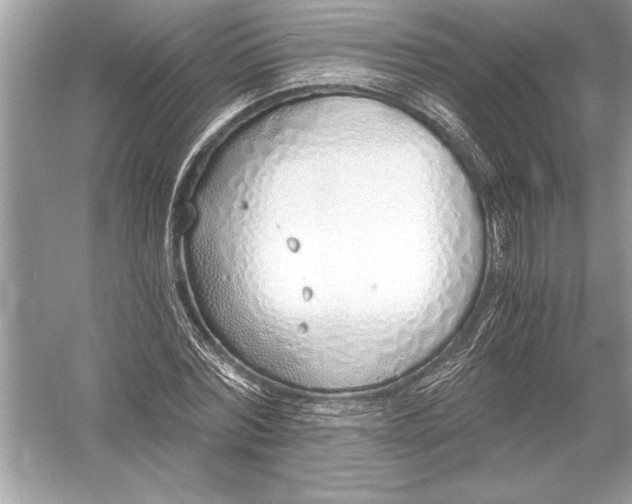 X0000051910780200507222107