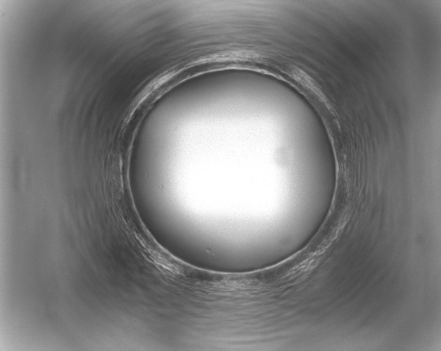 X0000051910781200507222107