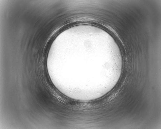 X0000051910783200507222107