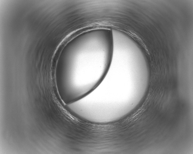 X0000051910784200507222107