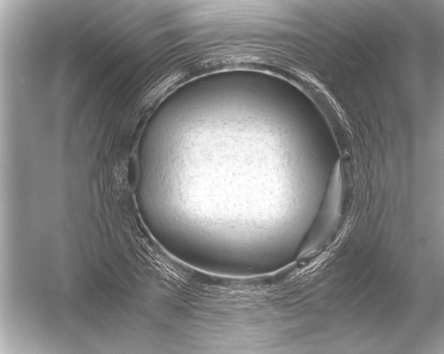 X0000051910785200507222107