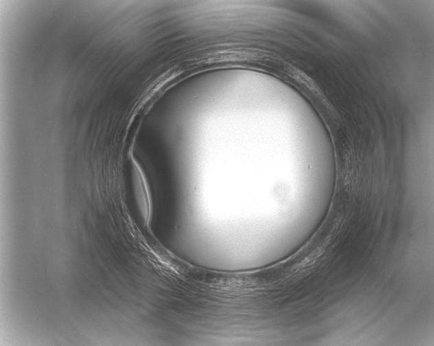 X0000051910786200507222107