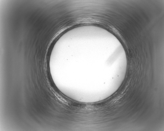 X0000051910787200507222107