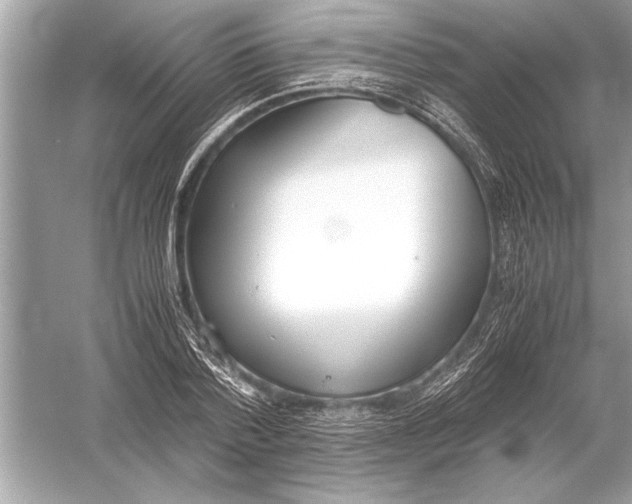 X0000051910788200507222107