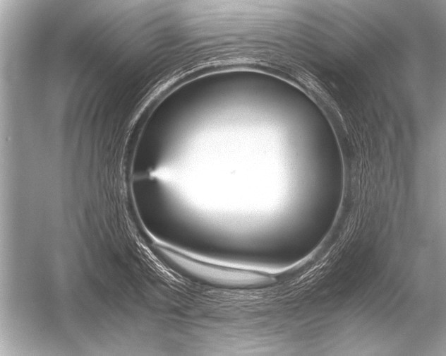 X0000051910789200507222107