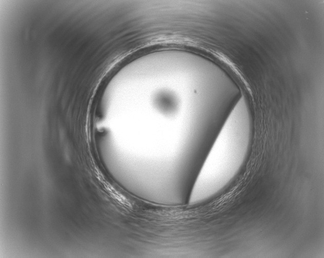 X0000051910791200507222107