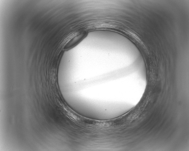 X0000051910793200507222107