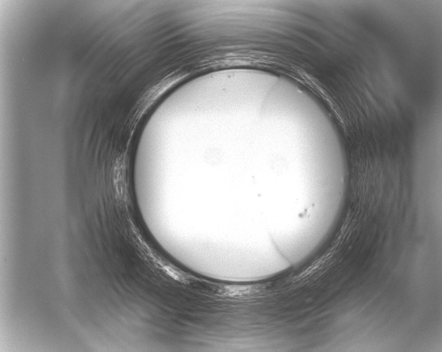 X0000051910794200507222107