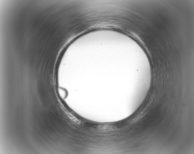 X0000051910795200507222107