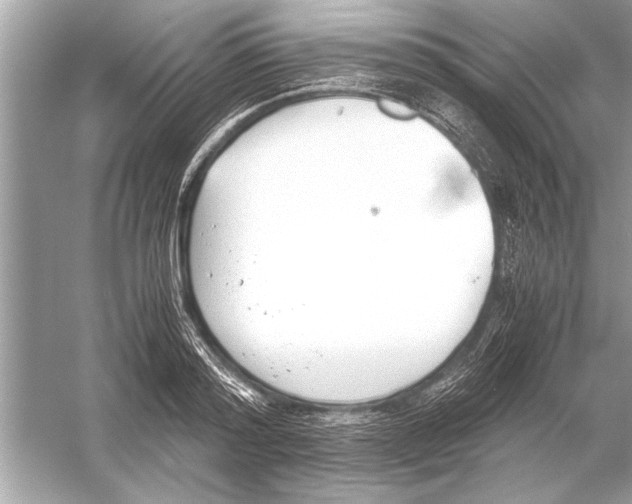 X0000051910796200507222107