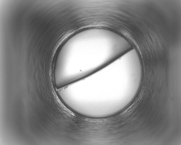 X0000051910797200507222107