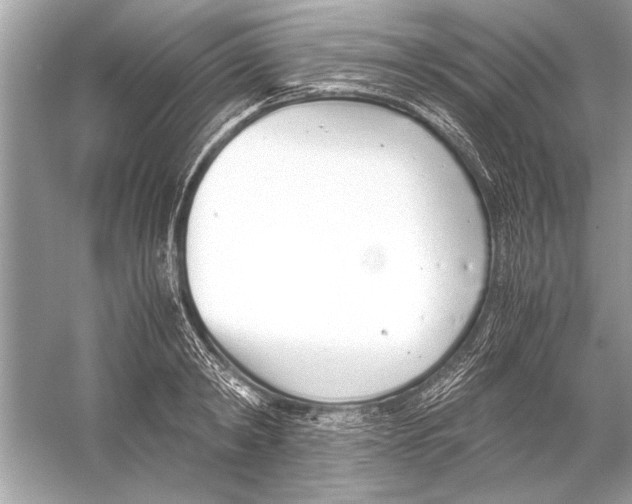 X0000051910798200507222107