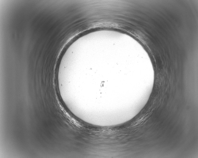 X0000051910799200507222107