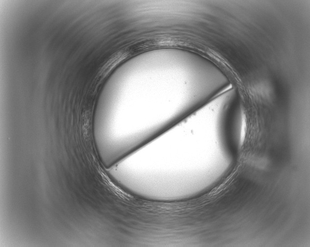 X0000051910801200507222107