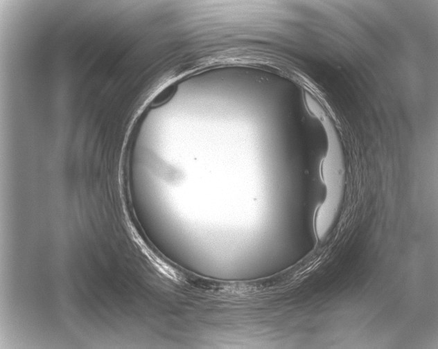 X0000051910803200507222107