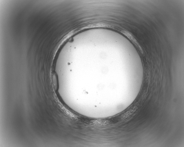 X0000051910805200507222107