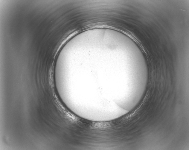 X0000051910806200507222106