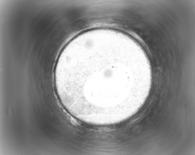 X0000051910807200507222106