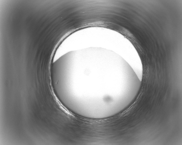 X0000051910808200507222106