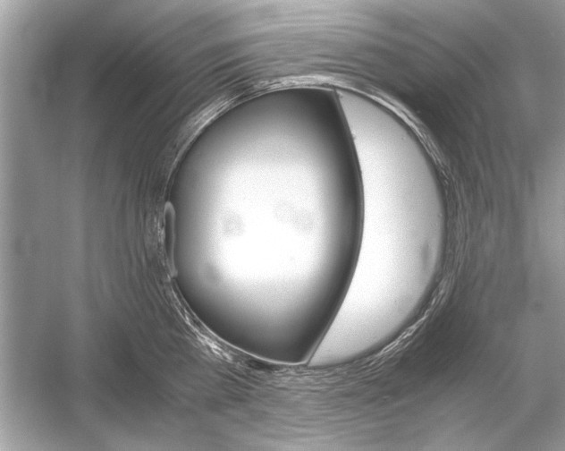 X0000051910809200507222106