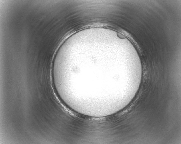 X0000051910810200507222106