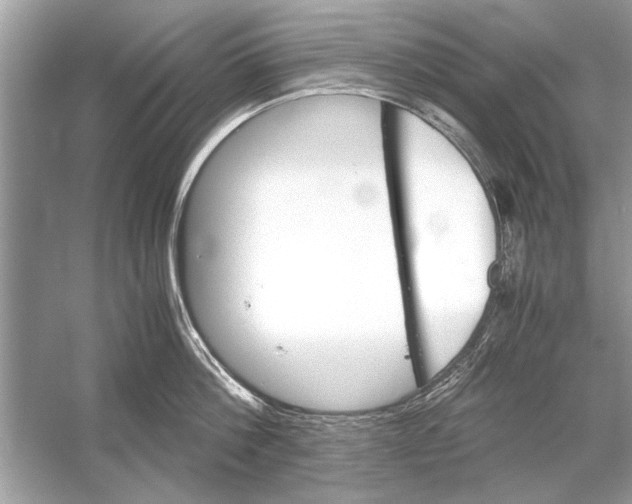 X0000051910812200507222106