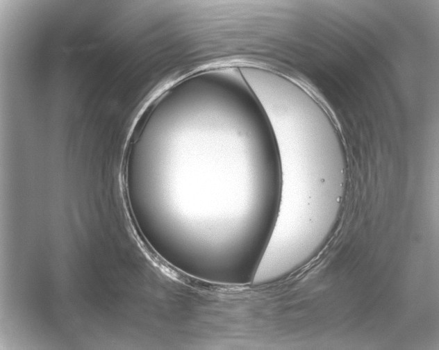 X0000051910813200507222106