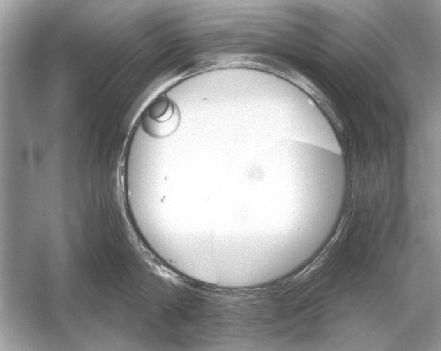 X0000051910814200507222106