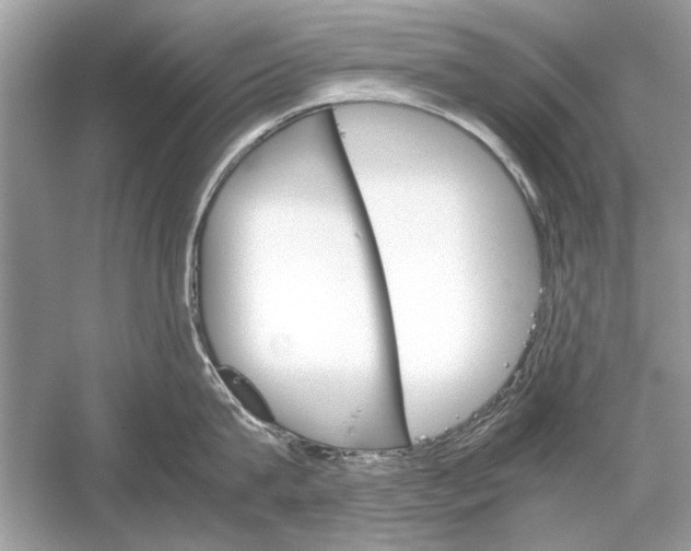 X0000051910815200507222106